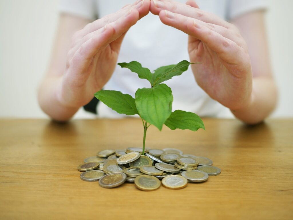 A green plant grows from a pile of coins on a wooden surface, with a person’s hands forming a protective dome over it, symbolizing financial growth.